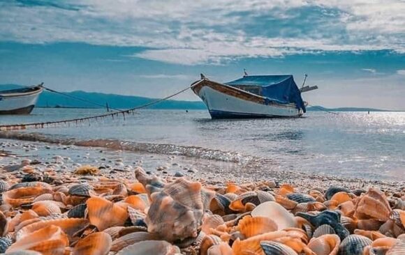 ΘΕΡΙΝΗ ΛΕΙΤΟΥΡΓΙΑ